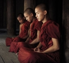 Góc nhìn về tham sân si và thái độ thiền trong Phật giáo 